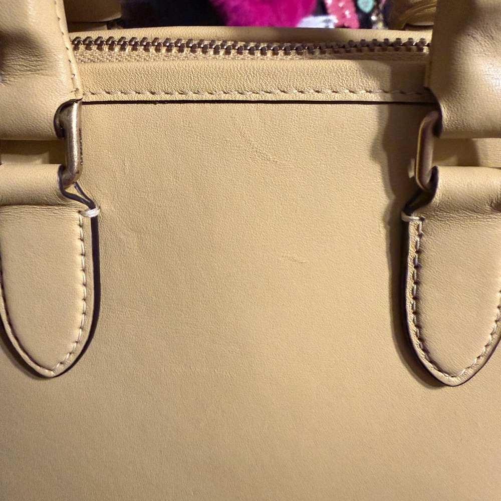Coach Reveal 24 - Picture 4 of 7